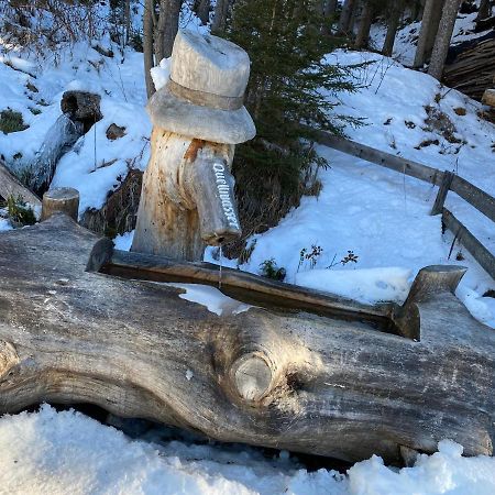 Ferienwohnung 4 Personen Alleinlage Am Wald Naehe Skigebiet Hochzeiger Jerzens Zewnętrze zdjęcie